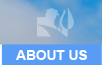 about Bell MM